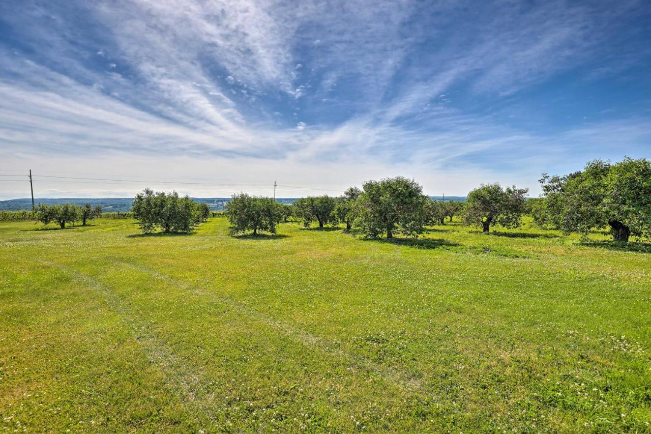 Finger Lakes Farm Retreat Walk To Wineries! Hector Luaran gambar