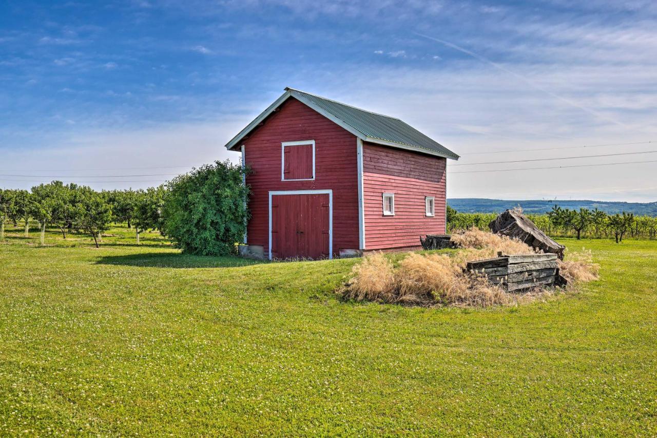 Finger Lakes Farm Retreat Walk To Wineries! Hector Luaran gambar