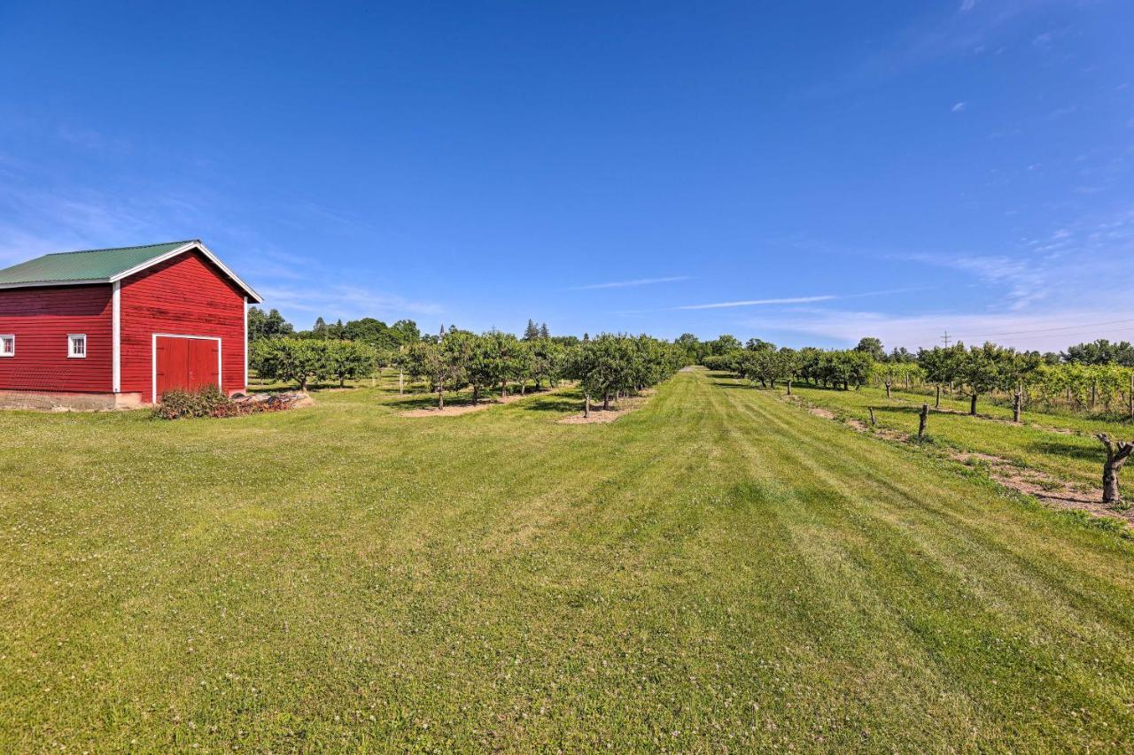Finger Lakes Farm Retreat Walk To Wineries! Hector Luaran gambar