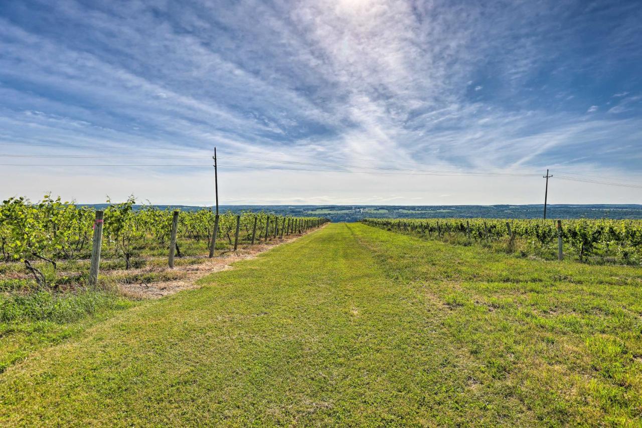 Finger Lakes Farm Retreat Walk To Wineries! Hector Luaran gambar